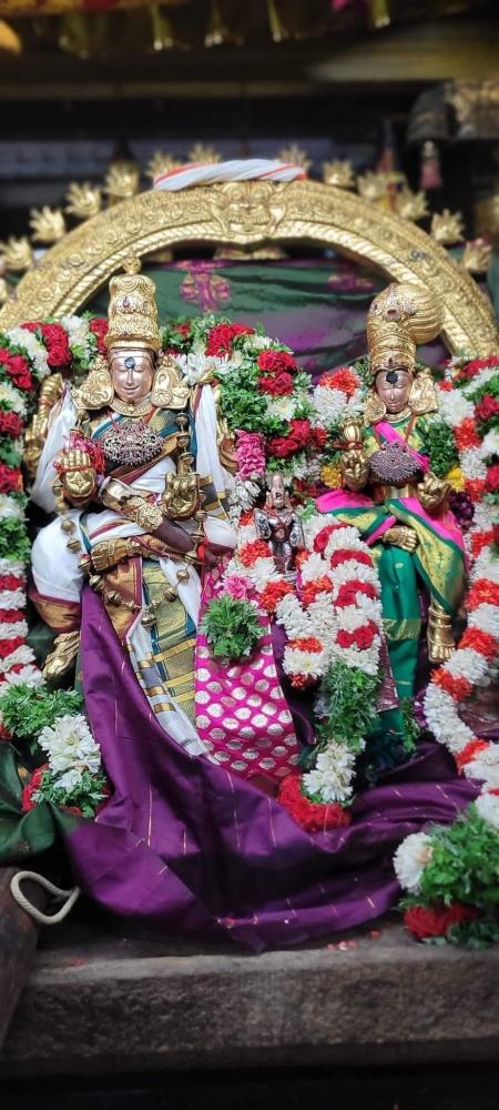 madurai-meenakshi-sundareshwar-temple-aani-utsav